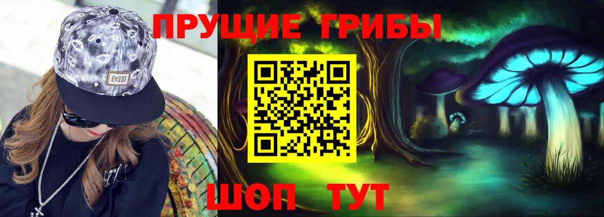 Псилоцибиновые грибы GOLDEN TEACHER Новошахтинск